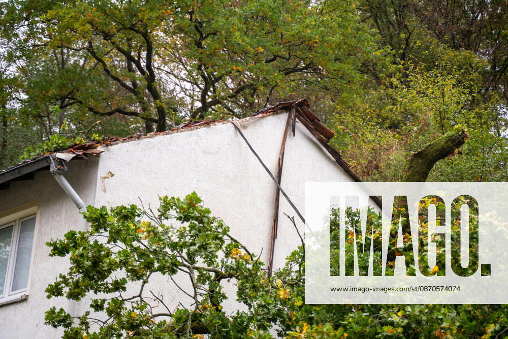 Severe Storms in Rhineland-Palatinate: Storm Uproots Trees and Damages Houses During the night of October 24, 2026, str