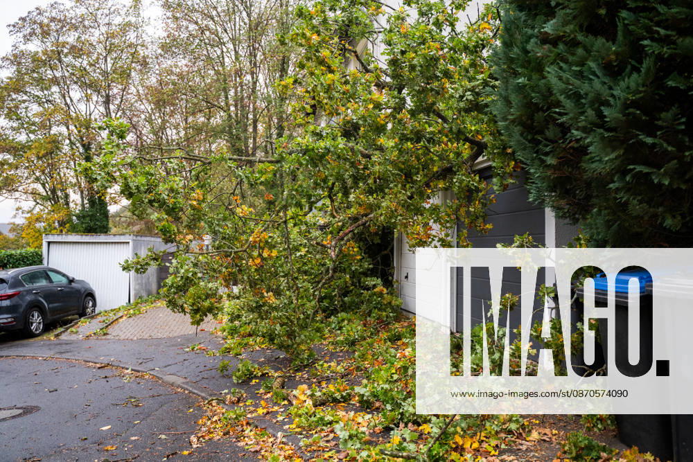 Severe Storms in Rhineland-Palatinate: Storm Uproots Trees and Damages Houses During the night of October 24, 2026, str