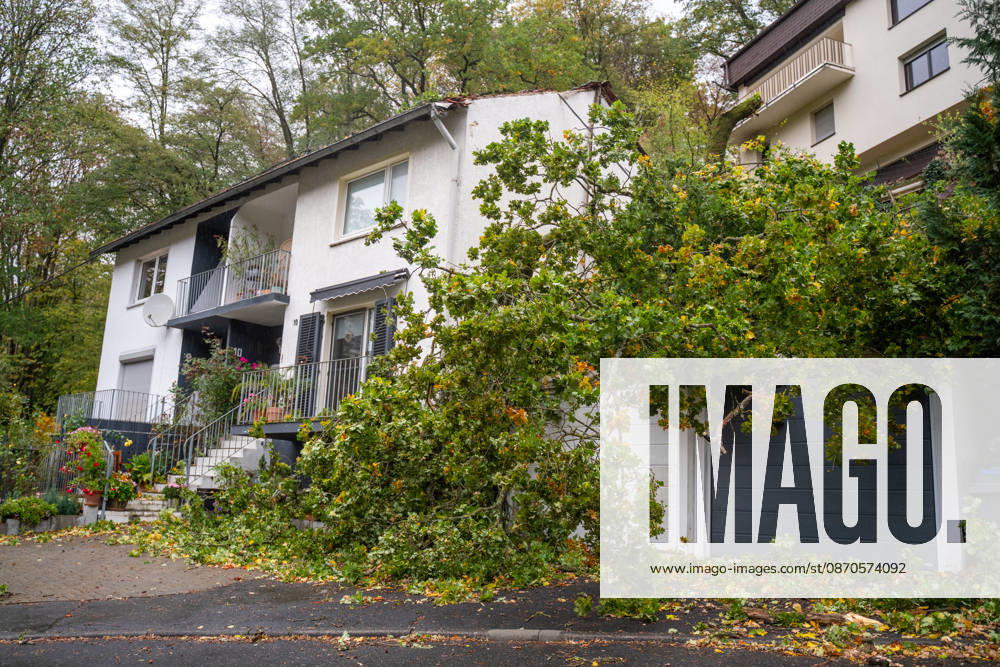 Severe Storms in Rhineland-Palatinate: Storm Uproots Trees and Damages Houses During the night of October 24, 2026, str