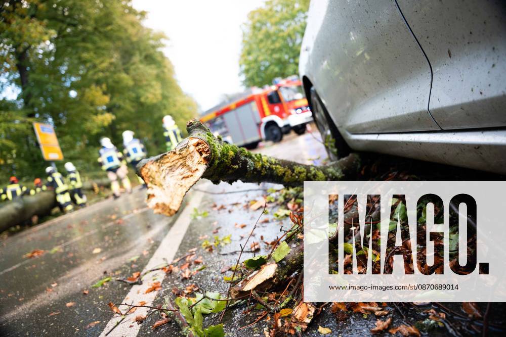 Fallen Tree in Schwerte: 80-Centimeter-Thick Tree Crashes Into Moving Car – Passengers Narrowly Escape Disaster 7aIMG 0578226 Fallen Tree in Schwerte: 80-Centimeter-Thick Tree Crashes Into Moving Car – Passengers narrowly escape disaster North Rhine-Westphalia, Schwerte, Germany
