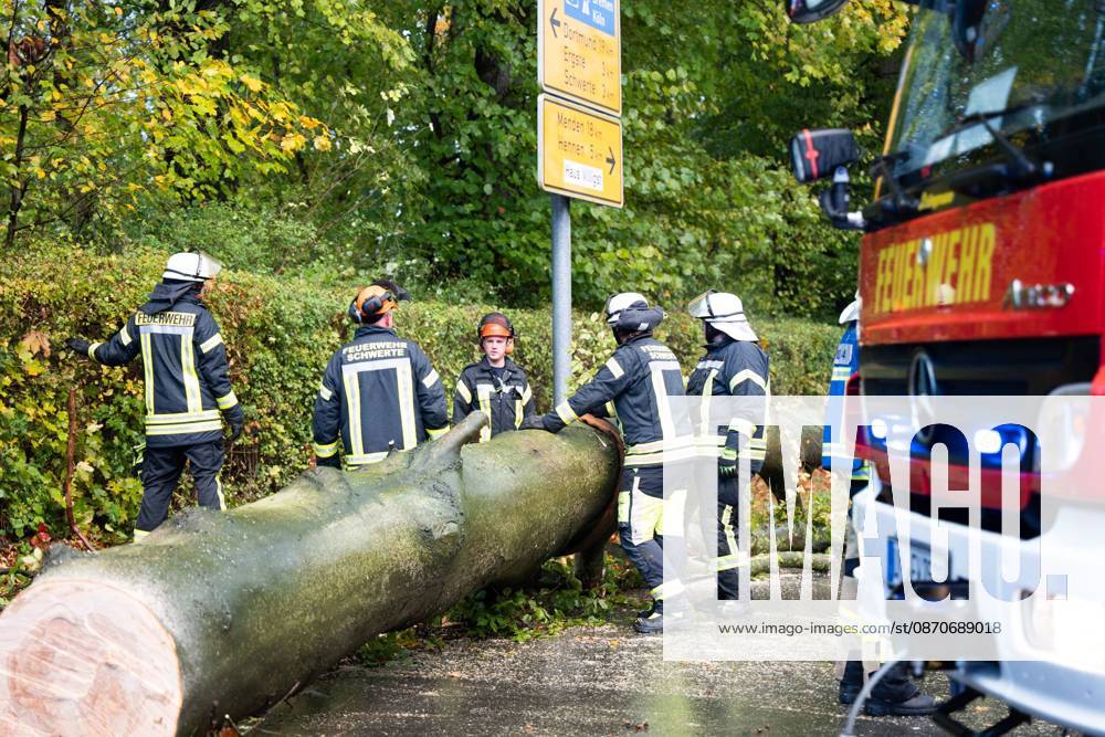 Fallen Tree in Schwerte: 80-Centimeter-Thick Tree Crashes Into Moving Car – Passengers Narrowly Escape Disaster 7aIMG 0578228 Fallen Tree in Schwerte: 80-Centimeter-Thick Tree Crashes Into Moving Car – Passengers narrowly escape disaster North Rhine-Westphalia, Schwerte, Germany