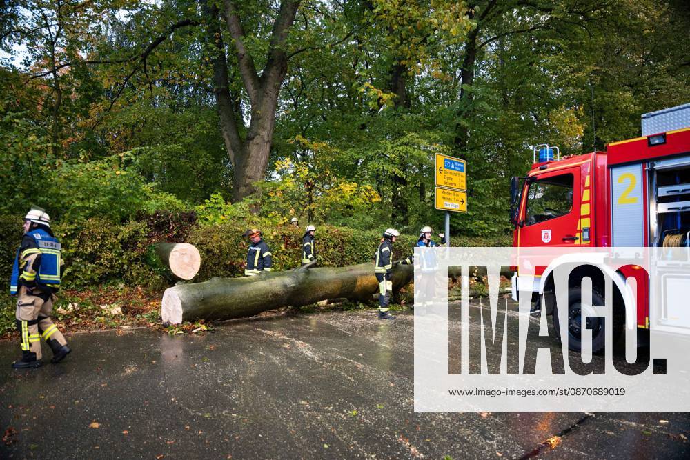 Fallen Tree in Schwerte: 80-Centimeter-Thick Tree Crashes Into Moving Car – Passengers Narrowly Escape Disaster 7aIMG 0578229 Fallen Tree in Schwerte: 80-Centimeter-Thick Tree Crashes Into Moving Car – Passengers narrowly escape disaster North Rhine-Westphalia, Schwerte, Germany