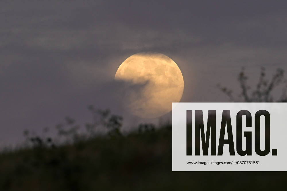 Full Hunter s Moon rises over San Francisco Bay SAN FRANCISCO, CA - OCTOBER 25: The full moon is known as the Hunter s Moon rises over Seal Point Park near the San Francisco Bay in San Mateo, California, United States on October 25, 2026. Tayfun Coskun Anadolu California United States. Editorial use only. Please get in touch for any other usage.