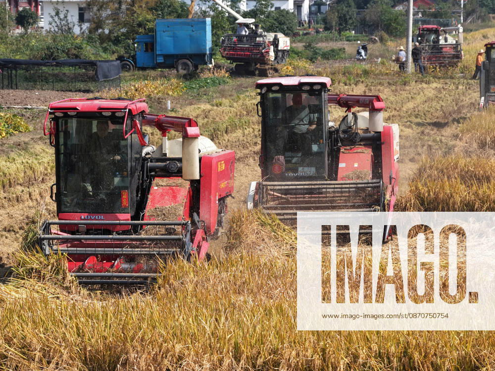 A combine harvester works in a rice field to harvest late-season rice on October 26, 2026 in Yangzhou, Jiangsu Province of China.