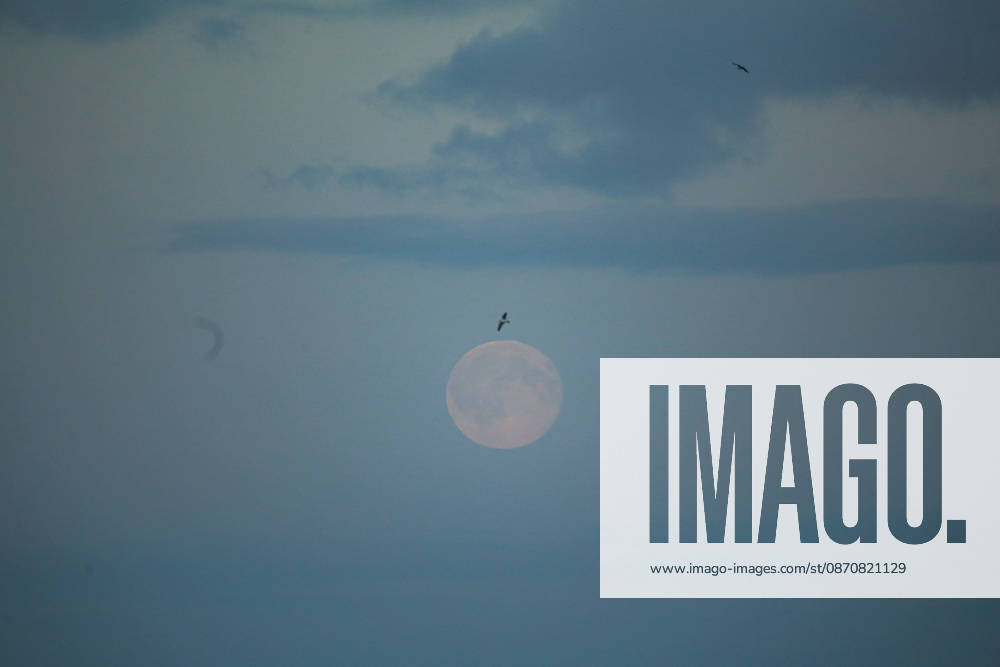 Full Moon (Hunter s Moon) rises over the sea as seen from Aarhus. Denmark. Aarhus Denmark - ZUMAm204 20261026_zip_m204_002