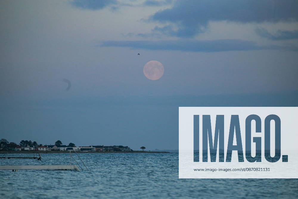 Full Moon (Hunter s Moon) rises over the sea as seen from Aarhus. Denmark. Aarhus Denmark - ZUMAm204 20261026_zip_m204_003
