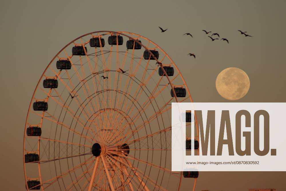 October s full Hunter s Moon in New Jersey SECAUCUS, NEW JERSEY, UNITED STATES - OCTOBER 26: The full moon, known as the Hunter s Moon for the month of October, rises alongside a Ferris wheel on the banks of the Hackensack River in Secaucus, New Jersey, United States on October 26, 2026. Islam Dogru Anadolu New York United States. Editorial use only. Please get in touch for any other usage.