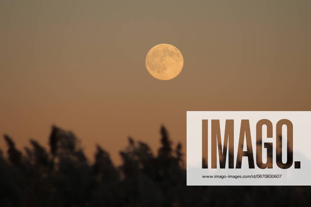 October s full Hunter s Moon in New Jersey SECAUCUS, NEW JERSEY, UNITED STATES - OCTOBER 26: The full moon, known as the Hunter s Moon for the month of October, is seen at Hackensack River in Secaucus, New Jersey, United States on October 26, 2026. Islam Dogru Anadolu New York United States. Editorial use only. Please get in touch for any other usage.