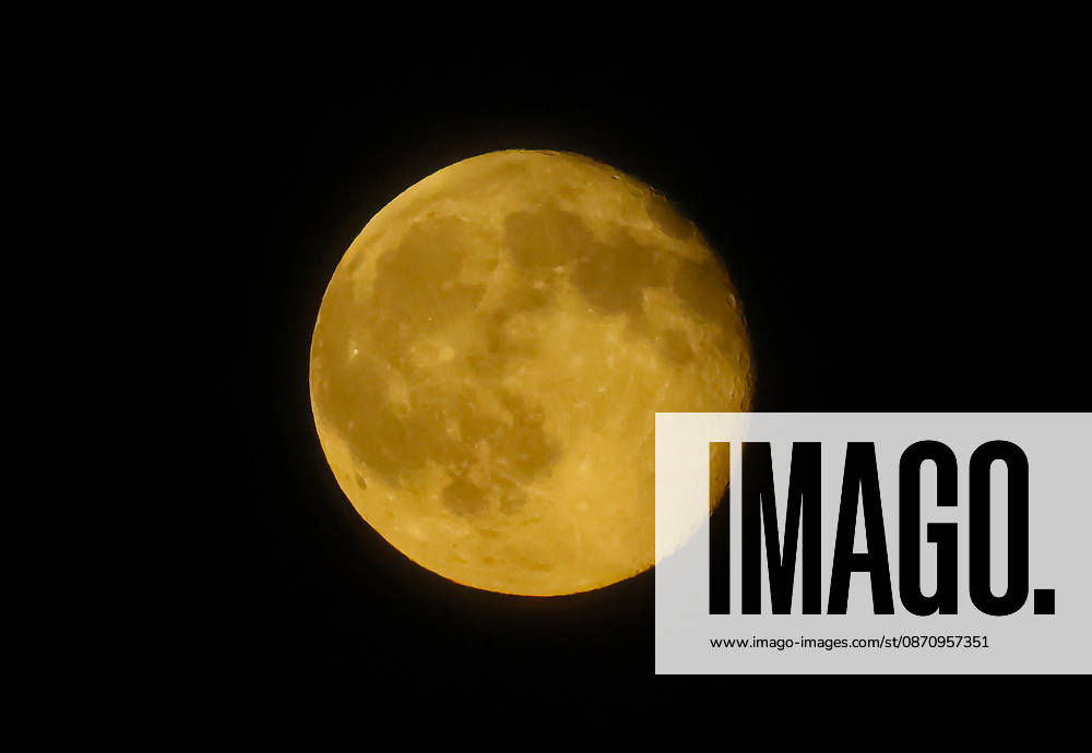 Full Moon, pictured: Full Moon