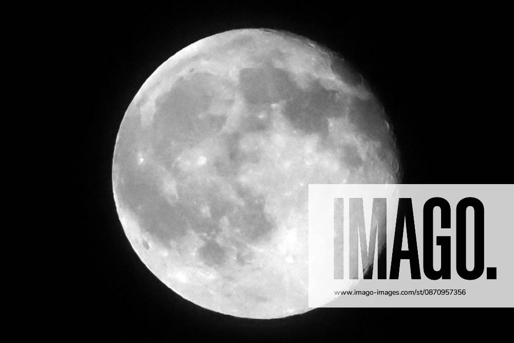 Full Moon, pictured: Full Moon