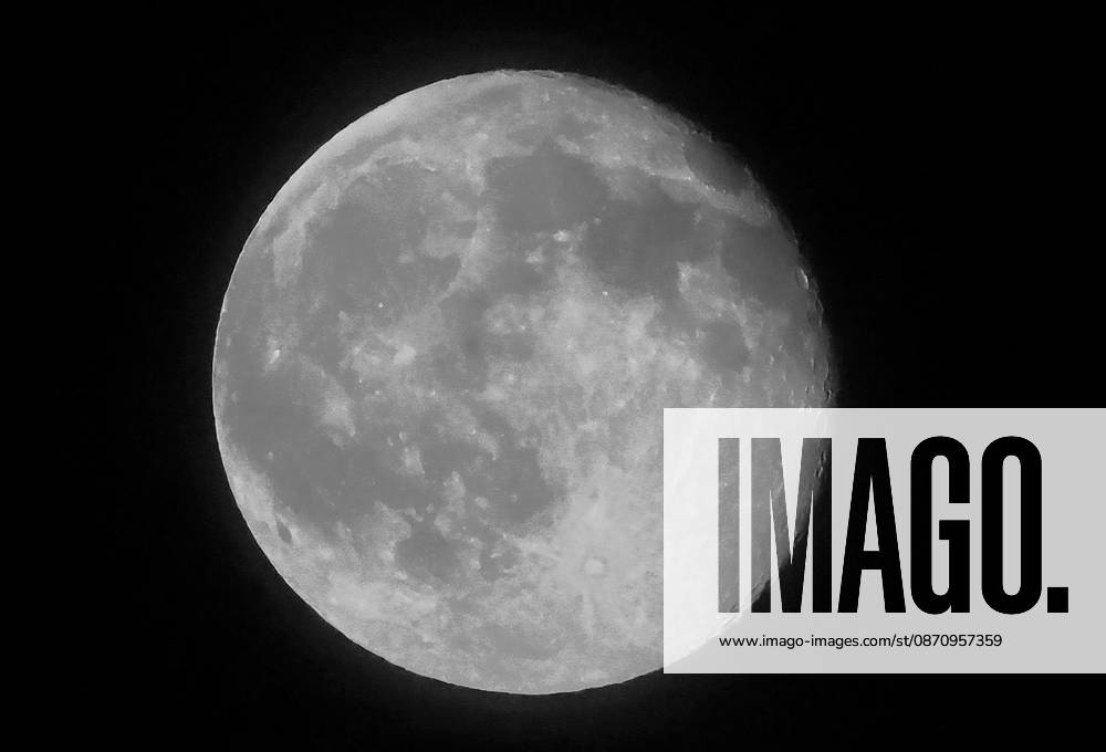 Full Moon, pictured: Full Moon