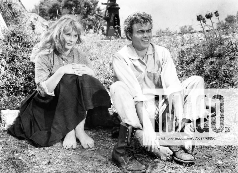 DAS TOTENSCHIFF, (aka SHIP OF THE DEAD, aka THE NAKED AND THE BRAVE), from left, Elke Sommer, Horst Buchholz, 1959 Courtesy Everett Collection !ACHTUNG AUFNAHMEDATUM GESCHÄTZT! PUBLICATIONXNOTxINxCANxCHNxFRAxITAxJPNxNORxPOLxRUSxESPxUKxUSA