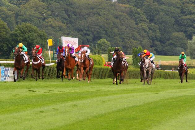 05.08.2012, Düsseldorf, Nordrhein-Westfalen, GER - Salomina mit Filip Minarik gewinnt den Preis der Diana. Galopprennbahn Düsseldorf-Grafenberg. (Pferd, Jockey, Salomina, Minarik, Sieg, Ziel, Zielankunft, tfonly12, Düsseldorf) 937S050812DUESSELDORF