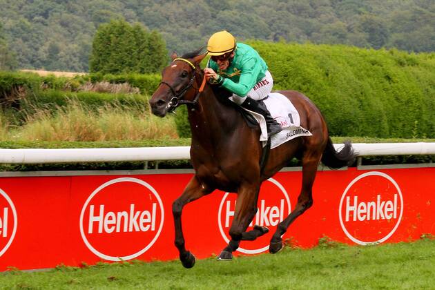 05.08.2012, Düsseldorf, Nordrhein-Westfalen, GER - Salomina mit Filip Minarik gewinnt den Preis der Diana. Galopprennbahn Düsseldorf-Grafenberg. (Pferd, Jockey, Salomina, Minarik, Sieg, Ziel, Zielankunft, Düsseldorf) 939S050812DUESSELDORF