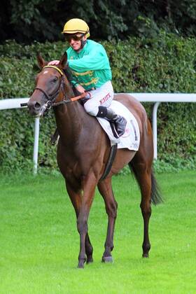 05.08.2012, Düsseldorf, Nordrhein-Westfalen, GER - Salomina mit Filip Minarik nach dem Sieg im Preis der Diana. Galopprennbahn Düsseldorf-Grafenberg. (Pferd, Jockey, Salomina, Minarik, Sieg, Düsseldorf) 942S050812DUESSELDORF