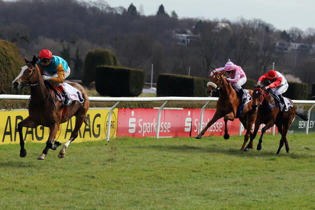 28 03 2021, Duesseldorf, North Rhine Westphalia, GER Diadora with Martin Seidl wins racecourse Duesseldorf Grafenberg horse, jockey, Diadora, Seidl, victory, finish, finish 210328SG971DUESSELDORF JPG