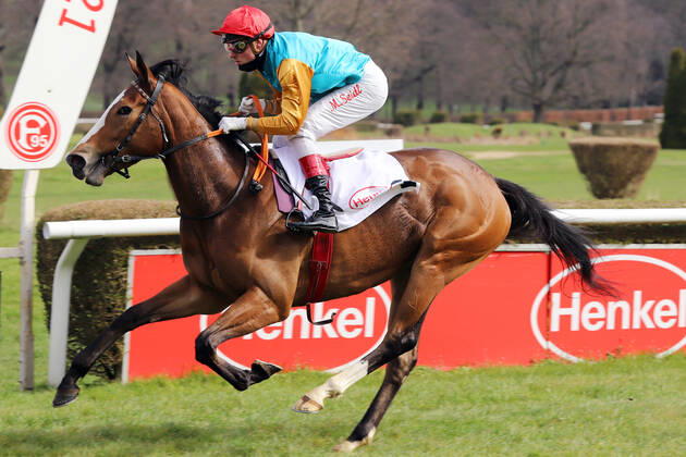 28 03 2021, Duesseldorf, North Rhine Westphalia, GER Diadora with Martin Seidl wins racecourse Duesseldorf Grafenberg horse, jockey, Diadora, Seidl, victory, finish, finish 210328SG972DUESSELDORF JPG