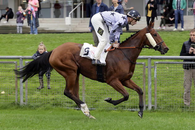 03 10 2021, Duesseldorf, North Rhine Westphalia, GER Selket with Lukas Delozier at the gallop at the racecourse Duesseldorf Grafenberg horse, jockey, Selket, Delozier, gallop 211003SG915DUESSELDORF JPG