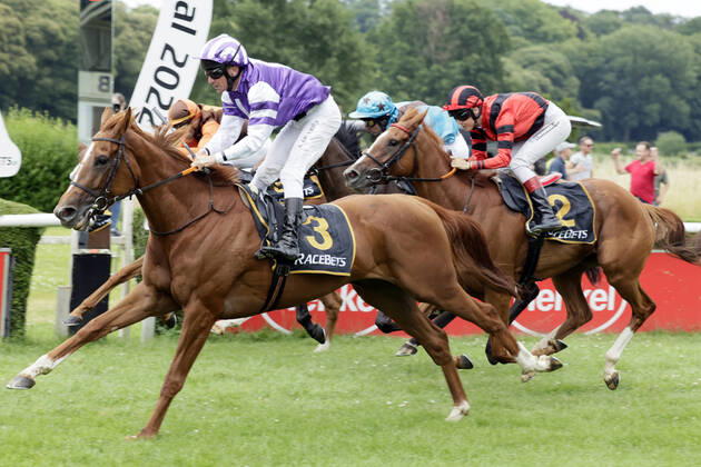 25 06 2022, Duesseldorf, North Rhine Westphalia, GER Salve le Meer with Adrie de Vries wins racecourse Duesseldorf Grafenberg horse, jockey, Salve le Meer, de Vries, victory, finish, finish 220625SG916DUESSELDORF JPG