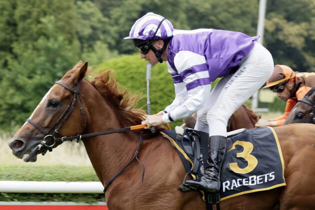 25 06 2022, Duesseldorf, North Rhine Westphalia, GER Salve le Meer with Adrie de Vries wins racecourse Duesseldorf Grafenberg horse, jockey, Salve le Meer, de Vries, victory, finish, finish 220625SG917DUESSELDORF JPG