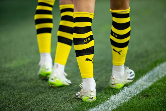 1 Bundesliga, 1 Spieltag Borussia Dortmund 1 FC Koeln, Dortmund, Signal Iduna Park, 19 08 2023 1 Bundesliga, 1 Spieltag Borussia Dortmund 1 FC Koeln, Dortmund, Signal Iduna Park, 19 08 2023 DFL Regulations prohibit any of use of photographs as image sequences and quasi video Copyright: xBEAUTIFULxSPORTS Buriakovx