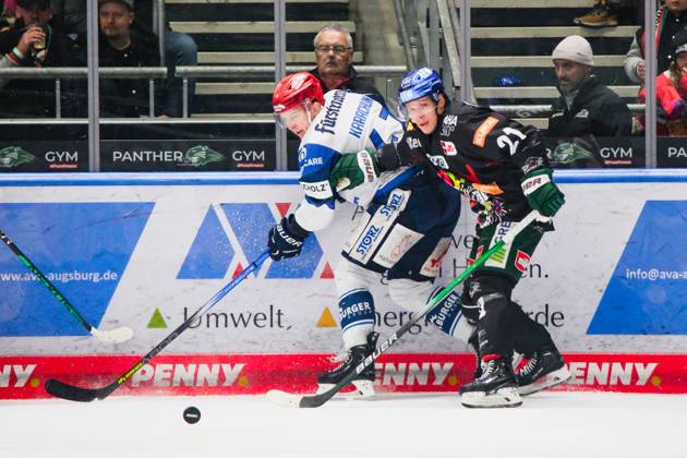 Alexander Karachun 47, Schwenninger Wild Wings and Jere Karjalainen 21, Augsburger Panther in duel, Augsburger Panther v Schwenninger Wild Wings , Ice Hockey, Men, Penny DEL 2023 2024, Main Round, Matchday 33 on 30 12 2023 in Augsburg, Curt Frenzel Stadion Bayern Germany