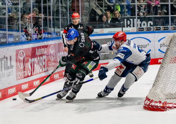 Battle for the puck duel between Niklas Andersen Augsburger Panther, 71 and Zach Senyshyn Schwenninger Wild Wings, 89 Augsburger Panther vs Schwenninger Wild Wings, Ice Hockey, DEL, Matchday 33, Season 2023 2024, 30 12 2023 Augsburger Panther vs Schwenninger Wild Wings, Ice Hockey, DEL, Matchday 33, Season 2023 2024, 30 12 2023 Augsburg Copyright: xEibner-Pressefoto HeikexFeinerx EP_HFR