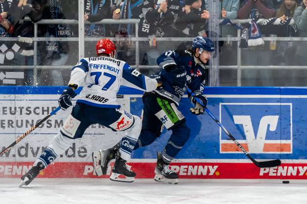 Fight for the puck duel between Daniel Pfaffengut Schwenninger Wild Wings, 77 and Adrian Klein Straubing Tigers, 17 Straubing Tigers vs Schwenninger Wild Wings, Ice Hockey, DEL, Playoffs Quarterfinals Game 1, 2023 2024 Season, 16 03 2024 Straubing Tigers vs Schwenninger Wild Wings, Ice Hockey, DEL, Playoffs Quarterfinals Game 1, 2023 2024 Season, 16 03 2024 Straubing Copyright: xEibner-Pressefoto HarryxSchindlerx EP_EER
