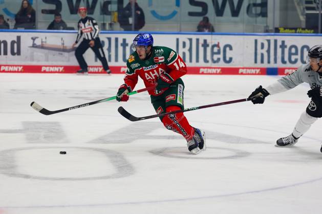 in duel, action, with D J Busdeker 14 Augsburger Panther , Augsburger Panther vs Koelner Haie, 4 Spieltag, Eishockey, Penny DEL, 29 09 2024 Augsburg Bayern Germany Copyright: xkolbert-press ChristianxKolbertx
