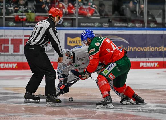Linesperson David Tschirner takes a faceoff between Eric Cornel Iserlohn Roosters, 18 and Jason Bast Augsburger Panther, 45 GER, Augsburger Panther vs Iserlohn Roosters, Ice Hockey, DEL, Matchday 5, Season 2024 2025, 02 10 2024 GER, Augsburger Panther vs Iserlohn Roosters, Ice Hockey, DEL, Matchday 5, Season 2024 2025, 02 10 2024 Augsburg Copyright: xEibner-Pressefoto HeikoxFeinerx EP_HFR