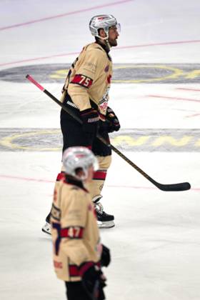 Samuel Dove Mcfalls Nuernberg Ice Tigers, 75 , GER, Eisbaeren Berlin vs Nuernberg Ice Tigers, Ice Hockey Men, German Ice Hockey League, Season 2024 2025, Matchday 7, 06 10 2024 GER, Eisbaeren Berlin vs Nuernberg Ice Tigers, Ice Hockey Men, German Ice Hockey League, Season 2024 2025, Matchday 7, 06 10 2024 Berlin Copyright: xEibner-Pressefotox xClaudiusxRauchx EP_CRH