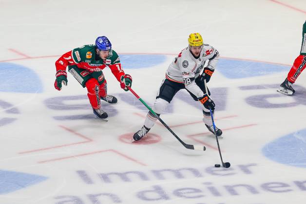 in duel, action, with D J Busdeker 14 Augsburger Panther , Dominik Bokk 78 Loewen Frankfurt , Augsburger Panther vs Loewen Frankfurt, 8 Matchday, Ice Hockey, Penny DEL, 11 10 2024 Augsburg Bayern Germany Copyright: xkolbert-press ChristianxKolbertx