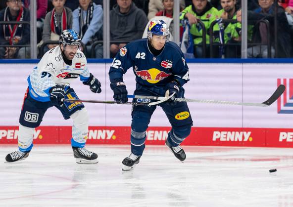 Battle for the puck duel between Riley Sheen ERC Ingolstadt Panther, 91 and Yasin Ehliz EHC Red Bull Muenchen, 42 GER, EHC Red Bull Muenchen vs ERC Ingolstadt Panther, Ice Hockey, DEL, Matchday 13, Season 2024 2025, 27 10 2024 GER, EHC Red Bull Muenchen vs ERC Ingolstadt Panther, Ice Hockey, DEL, Matchday 13, Season 2024 2025, 27 10 2024 Muenchen Copyright: xEibner-Pressefoto FranzxFeinerx EP_HFR