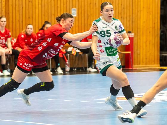 Lara Daeuble Frisch Auf Women, 95 in duel with Isabell Hurst HSG Bensheim Auerbach, 05 , HSG Bensheim Auerbach vs Frisch Auf Goeppingen, Handball, 1 Bundesliga, Season 2024 2025, 16 11 2024 HSG Bensheim Auerbach vs Frisch Auf Goeppingen, Handball, 1 Bundesliga, Season 2024 2025, 16 11 2024 Bensheim Copyright: xMichaelxSchmidt Eibner-Pressefotx EP_MST