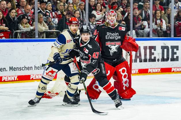 Ice Hockey Penny DEL 22 Matchday Cologne Sharks Schwenninger Wild Wings on 01 12 2024 at the Lanxess Arena in Cologne Tylor Spink Schwenningen , left Veli Matti Vittasmäki Cologne , center Mirko Pantkowski Cologne , right According to the regulations of the DEL German Ice Hockey League, the publication and further use of the recordings in electronic media and end devices of all kinds during the ongoing game is not permitted xDMx