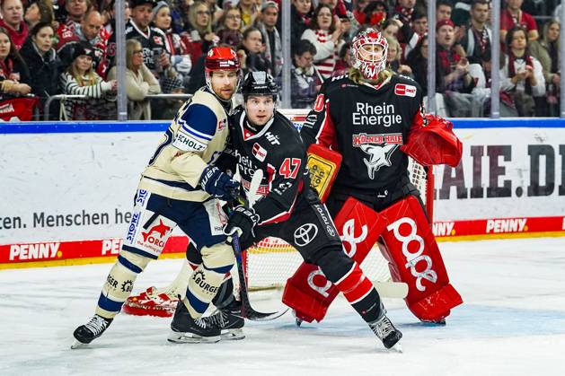 Ice Hockey Penny DEL 22 Matchday Cologne Sharks Schwenninger Wild Wings on 01 12 2024 at the Lanxess Arena in Cologne Tylor Spink Schwenningen , left Veli Matti Vittasmäki Cologne , center Mirko Pantkowski Cologne , right According to the regulations of the DEL German Ice Hockey League, the publication and further use of the recordings in electronic media and end devices of all kinds during the ongoing game is not permitted xDMx