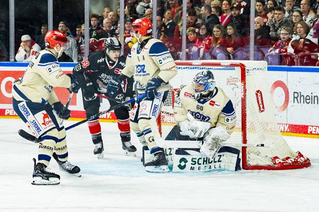 Ice Hockey Penny DEL 22 Matchday Cologne Sharks Schwenninger Wild Wings on 01 12 2024 at the Lanxess Arena in Cologne Tim Wohlgemuth Cologne , left Daryl Boyle Schwenningen , center Joacim Eriksson Schwenningen , right According to the regulations of the DEL German Ice Hockey League, the publication and further use of the recordings in electronic media and end devices of all kinds during the ongoing game is not permitted xDMx