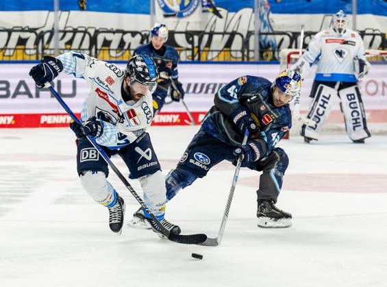Battle for the puck duel between Riley Sheen ERC Ingolstadt Panther, 91 and Yasin Ehliz EHC Red Bull Muenchen, 42 GER, EHC Red Bull Muenchen vs ERC Ingolstadt, Ice Hockey, DEL, Matchday 24, Season 2024 2025, 08 12 2024 GER, EHC Red Bull Muenchen vs ERC Ingolstadt, Ice Hockey, DEL, Matchday 24, Season 2024 2025, 08 12 2024 Muenchen Copyright: xEibner-Pressefoto HeikexFeinerx EP_HFR