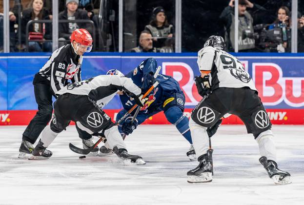 Linesperson David Tschirner executes a faceoff between Andy Miele Grizzlys Wolfsburg, 51 and Markus Eisenschmid EHC Red Bull Muenchen, 11 GER, EHC Red Bull Muenchen vs Grizzlys Wolfsburg, Ice Hockey, DEL, Matchday 32, Season 2024 2025, 30 12 2024 GER, EHC Red Bull Muenchen vs Grizzlys Wolfsburg, Ice Hockey, DEL, Matchday 32, Season 2024 2025, 30 12 2024 Muenchen Copyright: xEibner-Pressefoto FranzxFeinerx EP_HFR