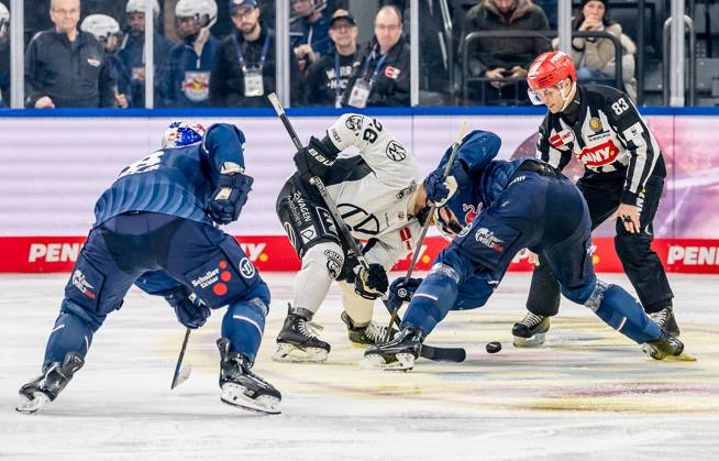 Linesperson David Tschirner executes a faceoff between Phil Varone Grizzlys Wolfsburg, 26 and Andreas Eder EHC Red Bull Muenchen, 20 GER, EHC Red Bull Muenchen vs Grizzlys Wolfsburg, Ice Hockey, DEL, Matchday 32, Season 2024 2025, 30 12 2024 GER, EHC Red Bull Muenchen vs Grizzlys Wolfsburg, Ice Hockey, DEL, Matchday 32, Season 2024 2025, 30 12 2024 Muenchen Copyright: xEibner-Pressefoto FranzxFeinerx EP_HFR