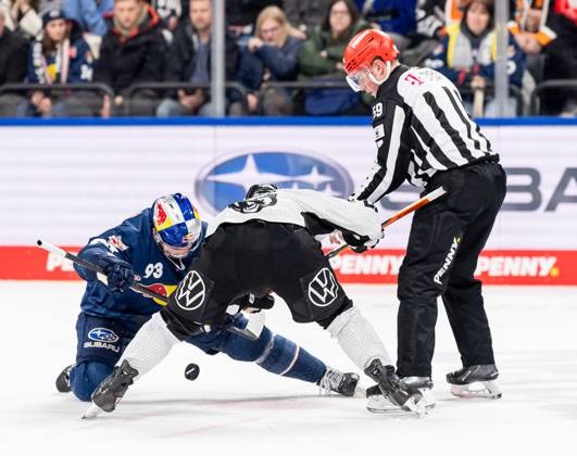Linesperson Jonas Reinold executes a faceoff between Maximilian Kastner EHC Red Bull Muenchen, 93 and Andy Miele Grizzlys Wolfsburg, 51 GER, EHC Red Bull Muenchen vs Grizzlys Wolfsburg, Ice Hockey, DEL, Matchday 32, Season 2024 2025, 30 12 2024 GER, EHC Red Bull Muenchen vs Grizzlys Wolfsburg, Ice Hockey, DEL, Matchday 32, Season 2024 2025, 30 12 2024 Muenchen Copyright: xEibner-Pressefoto FranzxFeinerx EP_HFR
