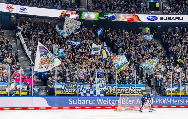 The Munich fans in the North Curve behind Simon Wolf Goalkeeper, EHC Red Bull Muenchen, 25 GER, EHC Red Bull Muenchen vs Fischtown Pinguins Bremerhaven, Ice Hockey, DEL, 35 Matchday, Season 2024 2025, 10 01 2025 GER, EHC Red Bull Muenchen vs Fischtown Pinguins Bremerhaven, Ice Hockey, DEL, 35 Matchday, Season 2024 2025, 10 01 2025 Muenchen Copyright: xEibner-Pressefoto HeikexFeinerx EP_HFR