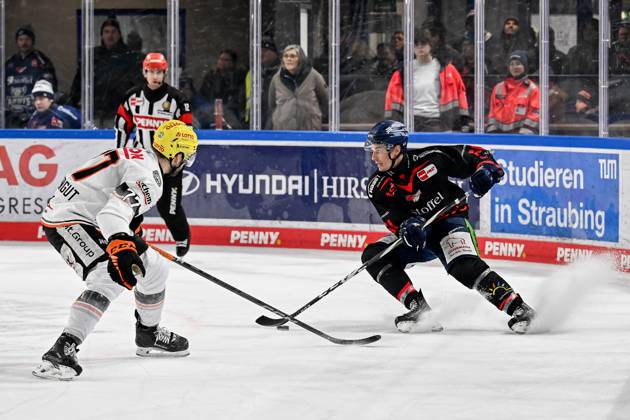 Fight for the puck duel between Daniel Pfaffengut Loewen Frankfurt, 77 and Justin Braun Straubing Tigers, 61 GER, Straubing Tigers vs Loewen Frankfurt, Ice Hockey, DEL, Matchday 38, Season 2024 2025, 19 01 2025 GER, Straubing Tigers vs Loewen Frankfurt, Ice Hockey, DEL, Matchday 38, Season 2024 2025, 19 01 2025 Straubing Copyright: xEibner-Pressefoto HeikexFeinerx EP_HFR