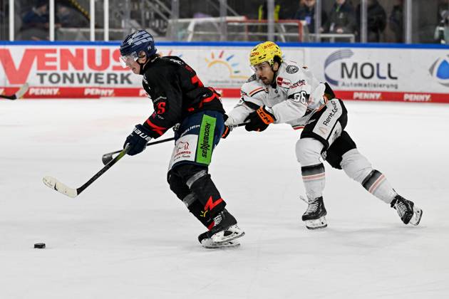 Battle for the puck duel between Elis Hede Straubing Tigers, 75 and Cameron Brace Loewen Frankfurt, 86 GER, Straubing Tigers vs Loewen Frankfurt, Ice Hockey, DEL, Matchday 38, Season 2024 2025, 19 01 2025 GER, Straubing Tigers vs Loewen Frankfurt, Ice Hockey, DEL, Matchday 38, Season 2024 2025, 19 01 2025 Straubing Copyright: xEibner-Pressefoto HeikexFeinerx EP_HFR