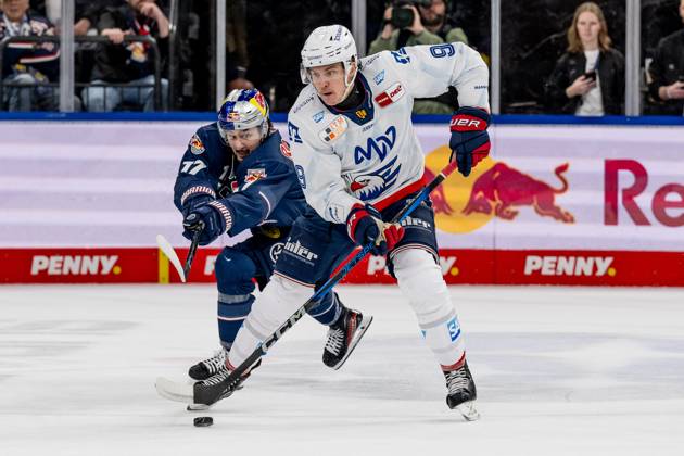 Battle for the puck duel between Taro Hirose EHC Red Bull Muenchen, 17 and Leon Gawanke Adler Mannheim, 9 GER, EHC Red Bull Muenchen vs Adler Mannheim, Ice Hockey, DEL, Playoffs, Quarterfinals Game 4, Season 2024 2025, 23 03 2025 GER, EHC Red Bull Muenchen vs Adler Mannheim, Ice Hockey, DEL, Playoffs, Quarterfinals Game 4, Season 2024 2025, 23 03 2025 Muenchen Copyright: xEibner-Pressefoto HeikexFeinerx EP_HFR