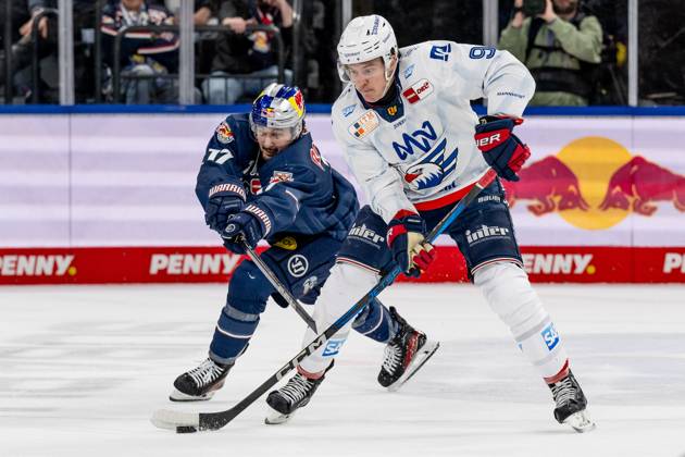 Battle for the puck duel between Taro Hirose EHC Red Bull Muenchen, 17 and Leon Gawanke Adler Mannheim, 9 GER, EHC Red Bull Muenchen vs Adler Mannheim, Ice Hockey, DEL, Playoffs, Quarterfinals Game 4, Season 2024 2025, 23 03 2025 GER, EHC Red Bull Muenchen vs Adler Mannheim, Ice Hockey, DEL, Playoffs, Quarterfinals Game 4, Season 2024 2025, 23 03 2025 Muenchen Copyright: xEibner-Pressefoto HeikexFeinerx EP_HFR