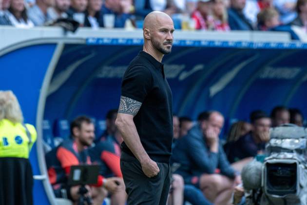 Coach Christian Ilzer TSG 1899 Hoffenheim xettx, Germany, Sinsheim, 17 05 2025, Football, Bundesliga TSG 1899 Hoffenheim vs FC Bayern Muenchen, Season 2024 2025, 34 Matchday, PreZero Arena Photo A2 Bildagentur Peter Hartenfelser DFL DFB REGULATIONS PROHIBIT ANY USE OF PHOTOGRAPHS AS IMAGE SEQUENCES AND OR QUASI VIDEO