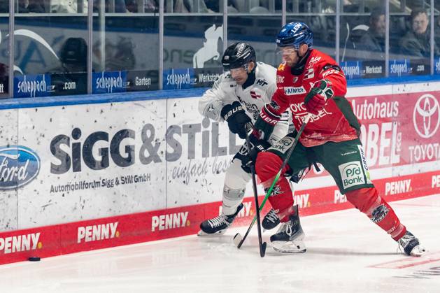 Fight for the puck duel between Dominik Uher Koelner Haie, 26 and Maximilian Renner Augsburger Panther, 58 GER, Augsburger Panther vs Koelner Haie, Ice Hockey, DEL, Matchday 5, Season 2025 2026, 26 09 2025 GER, Augsburger Panther vs Koelner Haie, Ice Hockey, DEL, Matchday 5, Season 2025 2026, 26 09 2025 Augsburg Copyright: xEibner-Pressefoto FranzxFeinerx EP_HFR