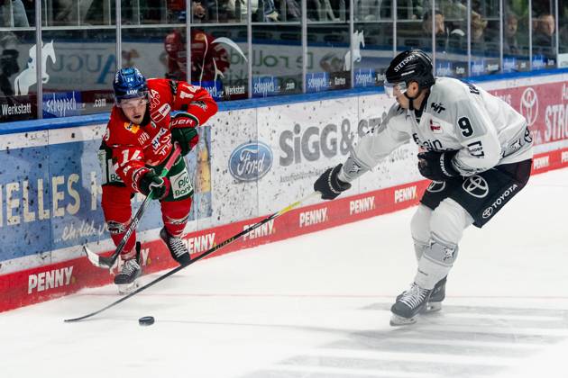 Fight for the puck duel between Donald D J Busdeker Augsburger Panther, 14 and Maximilian Kammerer Koelner Haie, 9 GER, Augsburger Panther vs Koelner Haie, Ice Hockey, DEL, Matchday 5, Season 2025 2026, 26 09 2025 GER, Augsburger Panther vs Koelner Haie, Ice Hockey, DEL, Matchday 5, Season 2025 2026, 26 09 2025 Augsburg Copyright: xEibner-Pressefoto FranzxFeinerx EP_HFR