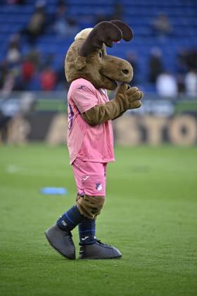 after the end of the game cheers, joy, happiness, jubilation Mascot Hoffie TSG 1899 Hoffenheim Pink violet jersey special jersey campaign TOGETHER AGAINST BREAST CANCER TSG 1899 Hoffenheim claps his hands in encouragement, Applause TSG 1899 Hoffenheim vs 1 FC Heidenheim 1846 FCH 25 10 2025 DFL REGULATIONS PROHIBIT ANY USE OF PHOTOGRAPHS AS IMAGE SEQUENCES AND OR QUASI VIDEO TSG 1899 Hoffenheim vs 1 FC Heidenheim 1846 FCH